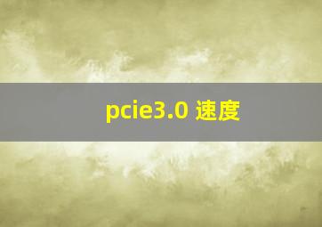 pcie3.0 速度